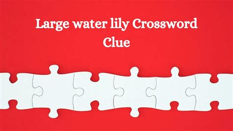 water lily crossword clue|large water lily crossword clue.